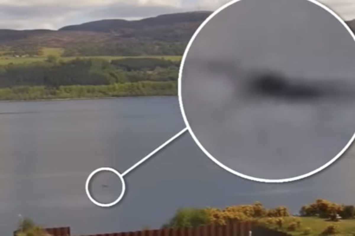Nessie ha un cucciolo video