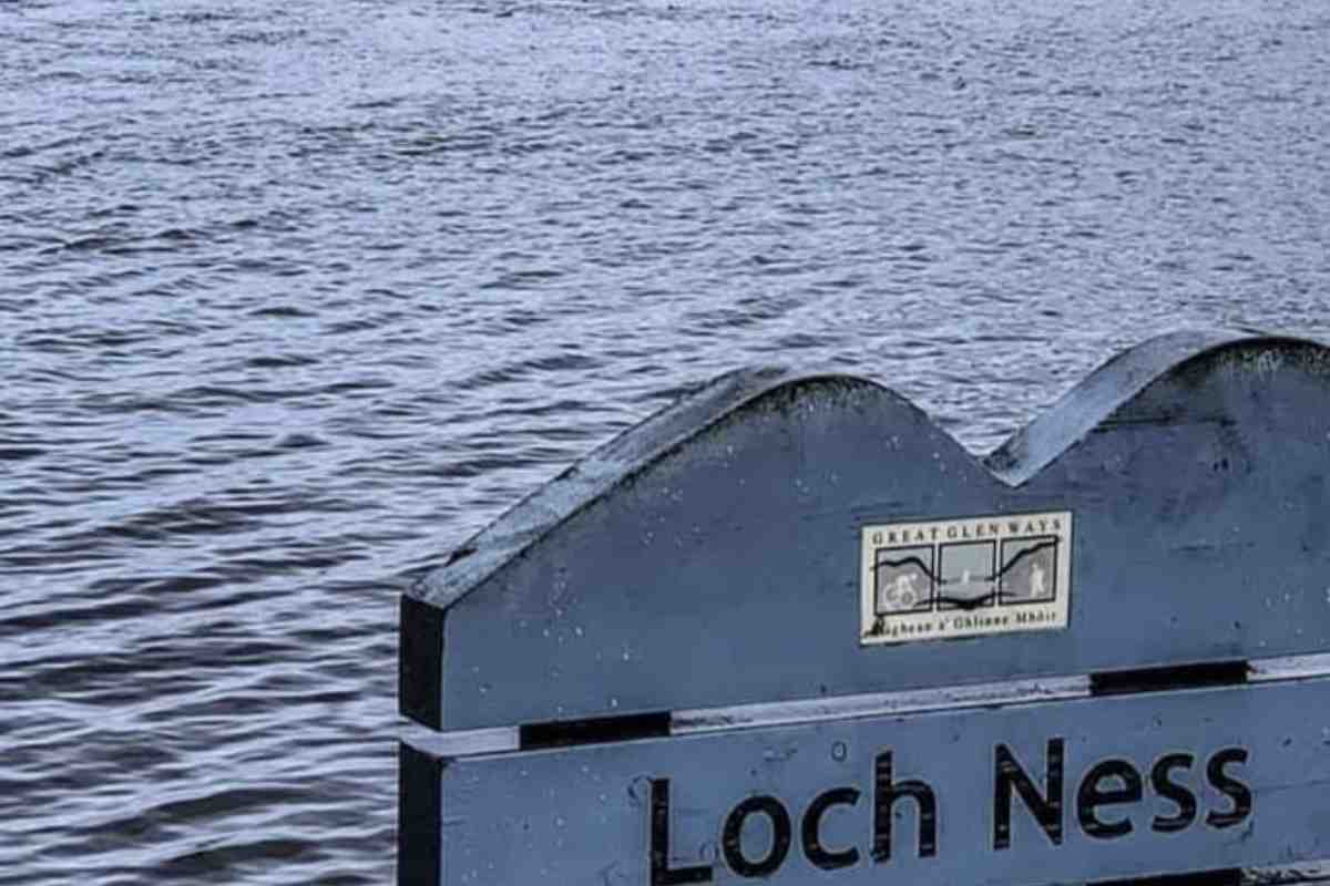 Nessie ha un cucciolo video