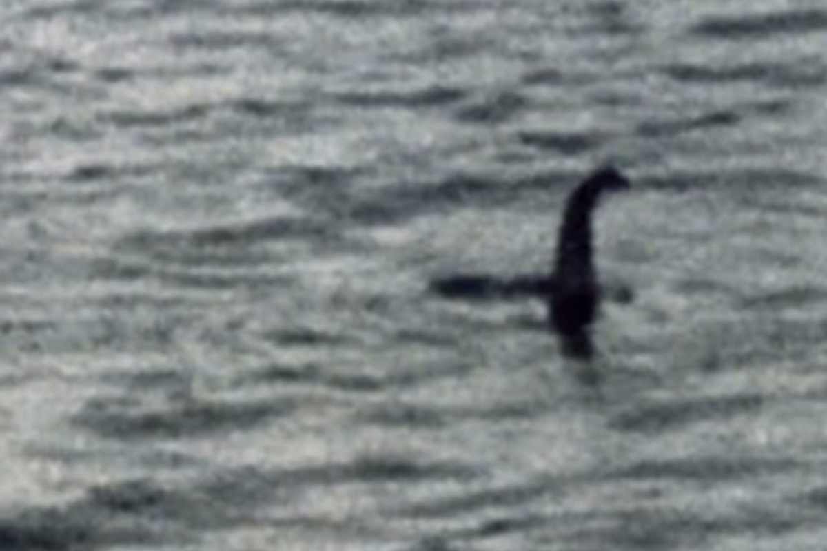 Nessie ha un cucciolo video
