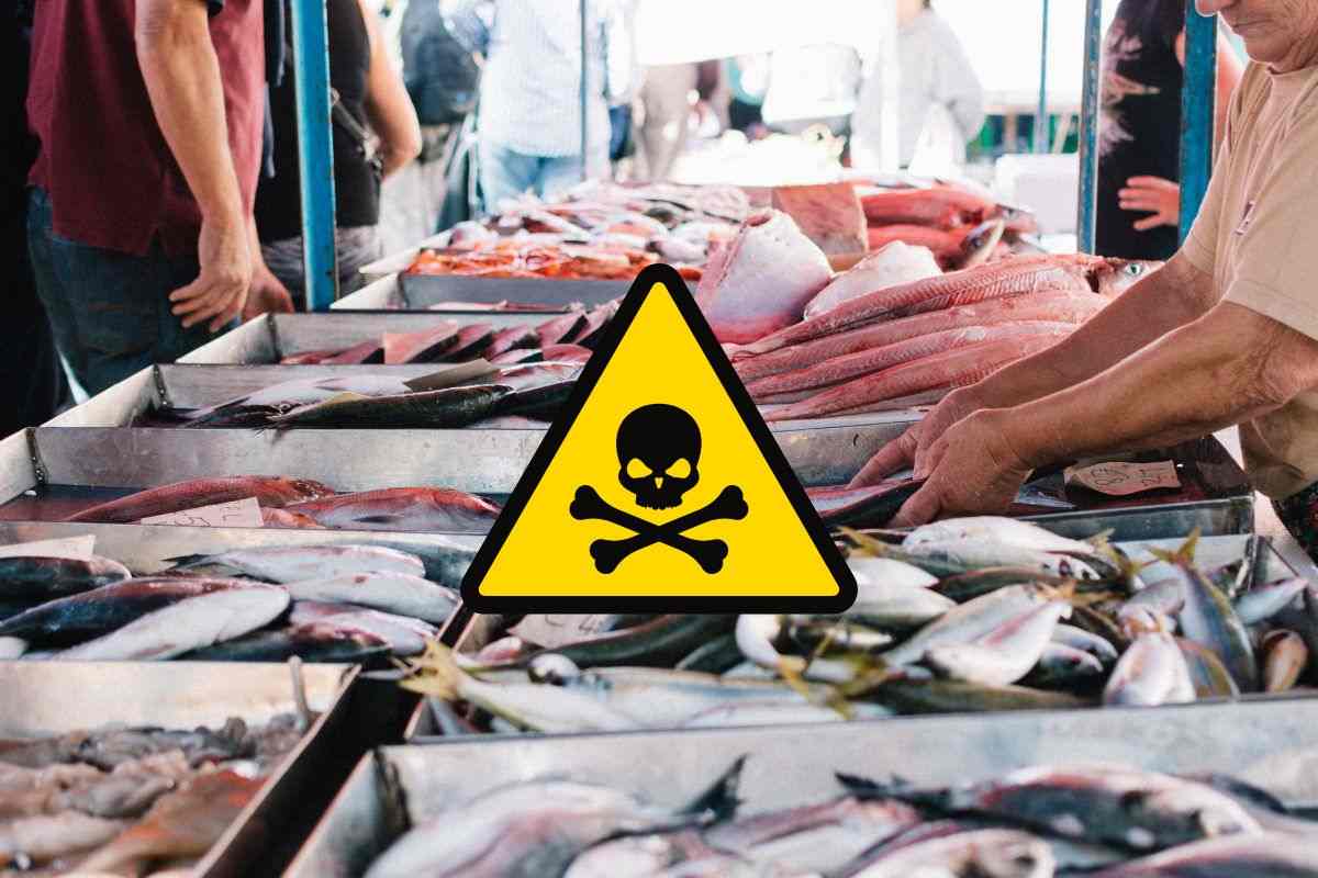 Pescheria di un mercato