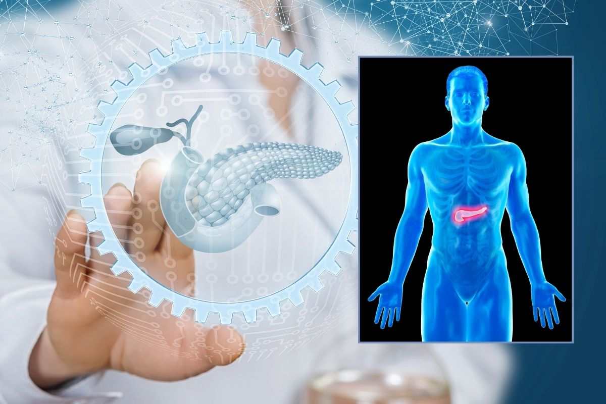 Posizione del pancreas all'interno dell'addome