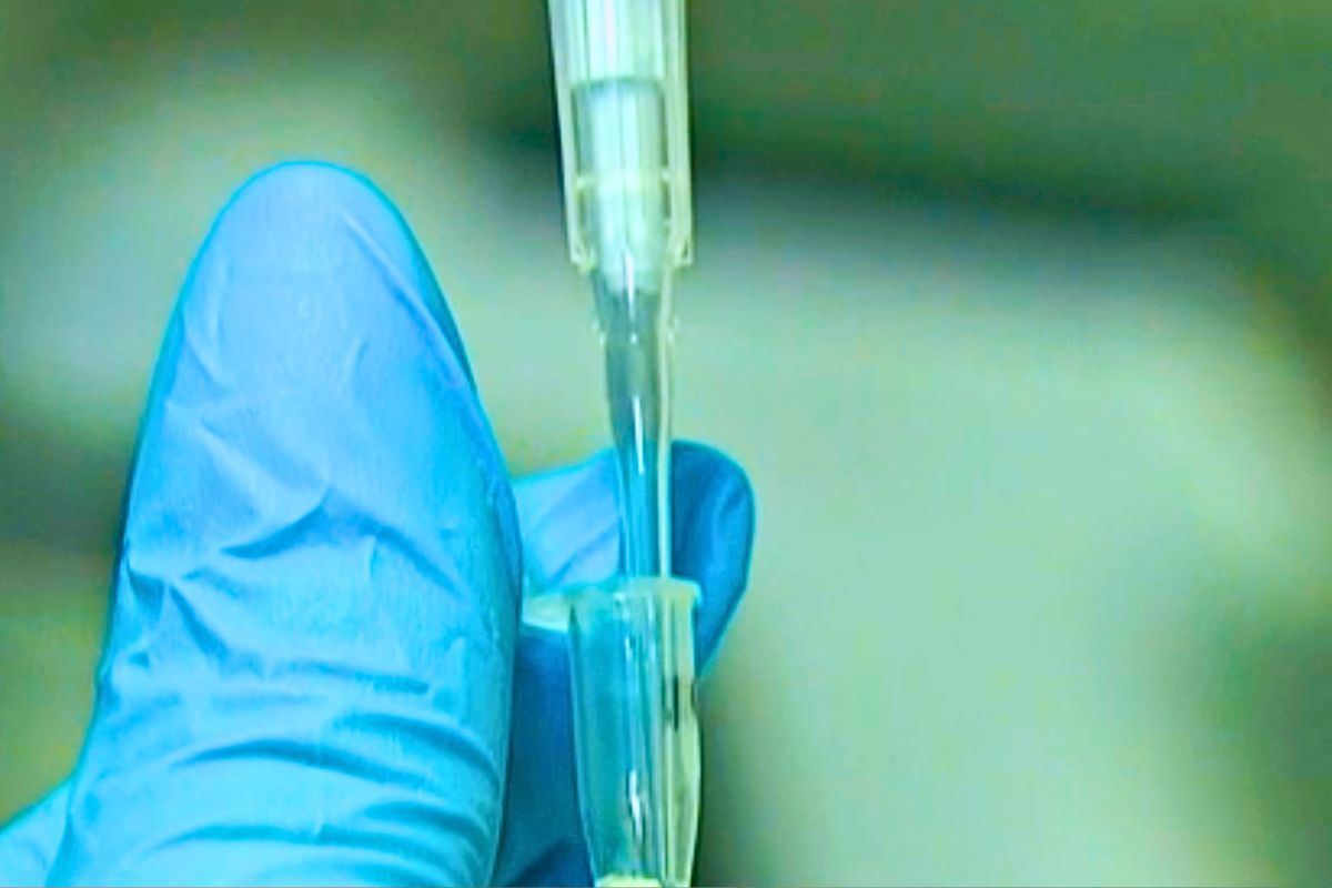 Test del DNA in laboratorio