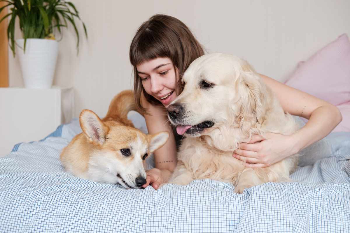 ragazza con i propri cani
