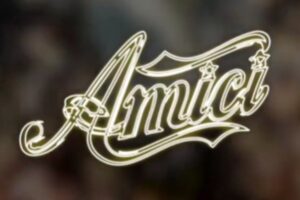 Amici logo