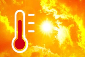 Caldo