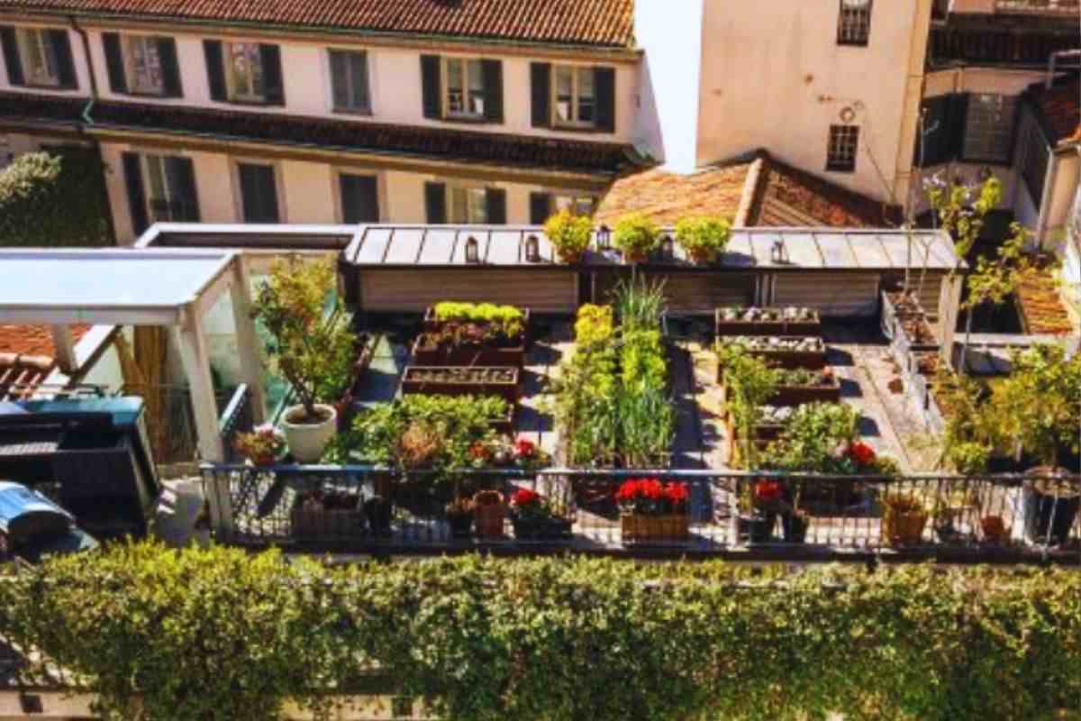 Il terrazzo pieno di verde dell'hotel