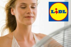 Ventilatore Lidl
