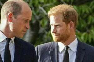 William e Harry